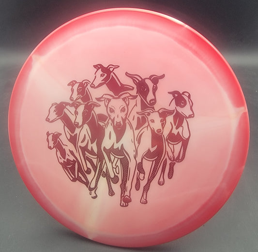 Innova Halo Star Whippet X